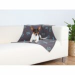 Hunde Tæpper