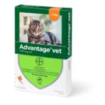 Advantage vet kat