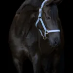 HG Malva Grime m/Tekst