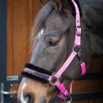 HH Plys Grime Lyrics Quotes