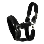 Back on Track Audrey Grime