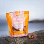 Mush Treat Grise Lunger