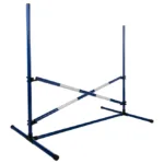 Hobby Horsing Spring