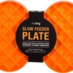 Slow feeder plate