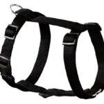 Hunter Ecco Sport Sele