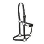 Dan Rider Nylon Grime