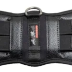 Karlslund Neophren Gjord Laki