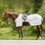 Waldhausen Ride Insektdækken