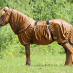 Islænder Eksem Dækken