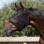 QHP Insekt Maske Uden Ører