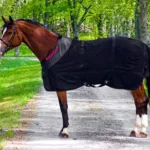 Back on Track Netdækken