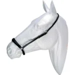 Hannoveransk Næsebånd