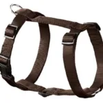 Hunter Ecco Sport Sele