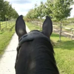 Acavallo Nakke/Næse Beskytter