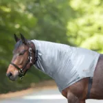 Waldhausen Eksem Hals