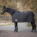 Waldhausen Liner 100 g