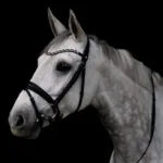 By Weber Rozetta Trense