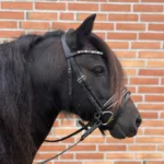 By Weber Trense Dolly, Shet og ponystr