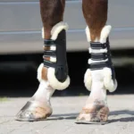 QHP Gamascher Ontario