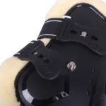 QHP Gamascher Bagben Ontario