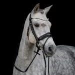 By Weber Andrea Rundsyet Trense