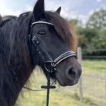 By Weber Jolly Trense