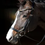 HH Trense Anatomic Rosegold