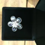 Horka Brosche åkande