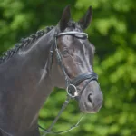 Wembley Darlington Trense