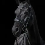 By Weber Eleganza Trense