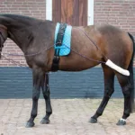 HH Longerings System