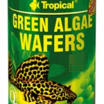 Algae Wafer