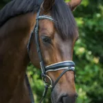 By Weber Isabella Trense