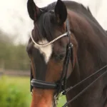 By Weber Mary Kandar