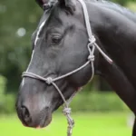 Covalliero Reb Grime