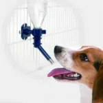 Water Bottle Feed