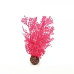 Pink Sea Fan