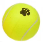 Tennisbold M/ Poter
