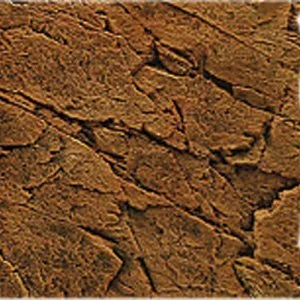 2107_7350034950110