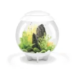 Biorb Halo 30 Ltr