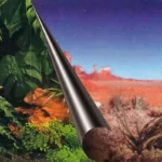 EBI BAGGRUND JUNGLE & ØRKEN 120X50 CM