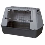 TRANSPORBUR JOURNEY S-M