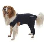 BUSTER Body Sleeves, bagben