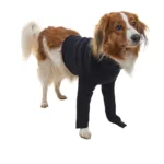 BUSTER Body Sleeves, forben