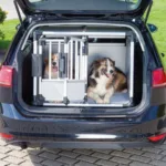 Transportbur, dobbelt