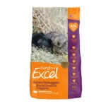 Burgess solbær marsvin