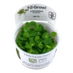 1-2 Grow Limnobium laevigatum