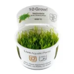 1-2 Grow Vesicularia webbing moss