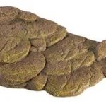 Turtle bank large