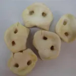 Hvide Grisetryner Løs